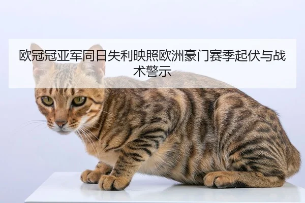 欧冠冠亚军同日失利映照欧洲豪门赛季起伏与战术警示